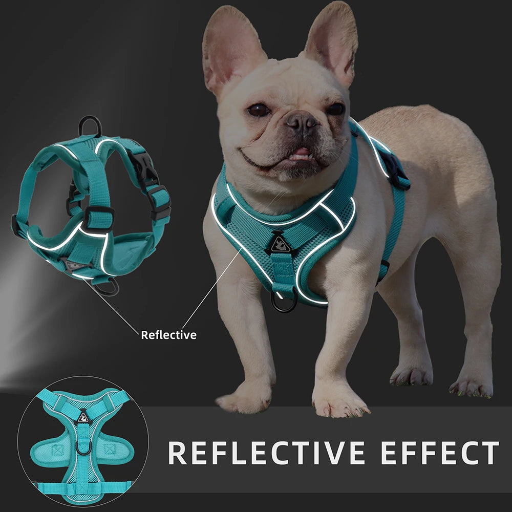 Adjustable No-Pull Mesh Dog Harness