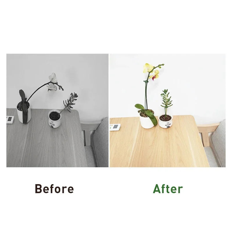 Plant Support Stakes and Clips – 1–15PCS