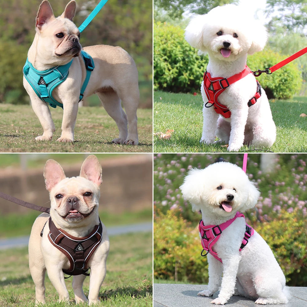 Adjustable No-Pull Mesh Dog Harness