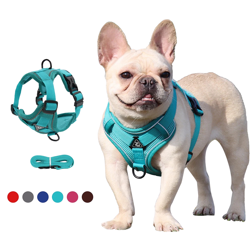 Adjustable No-Pull Mesh Dog Harness