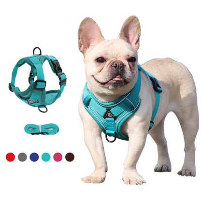 Adjustable No-Pull Mesh Dog Harness