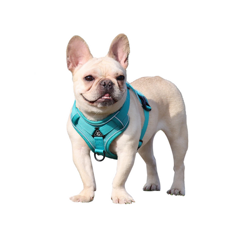 Adjustable No-Pull Mesh Dog Harness
