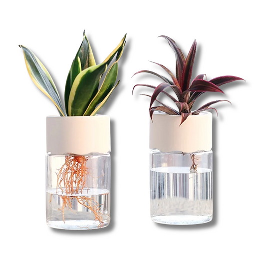 Mini Hydroponic Vase