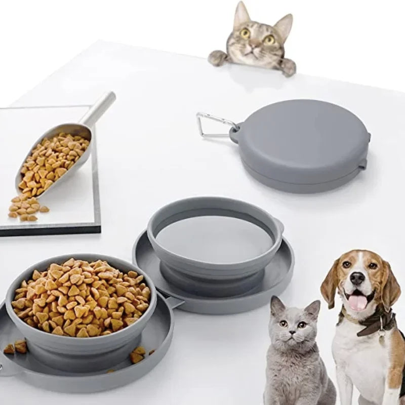 Dog Food Container